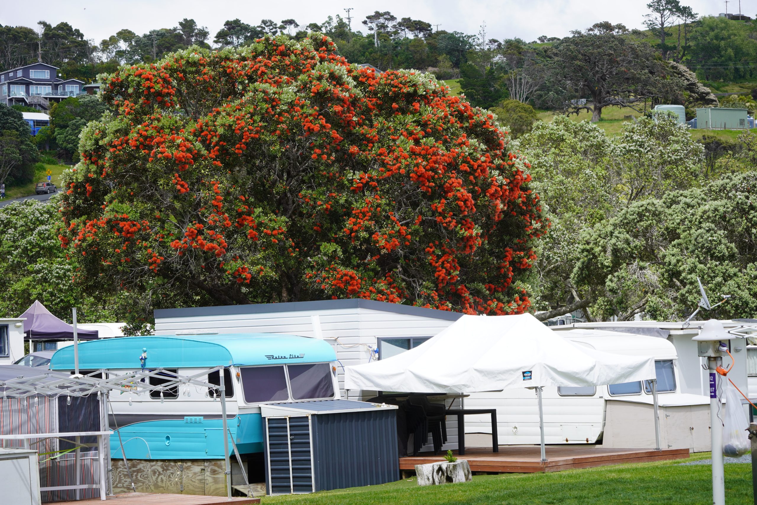 Martins Bay
