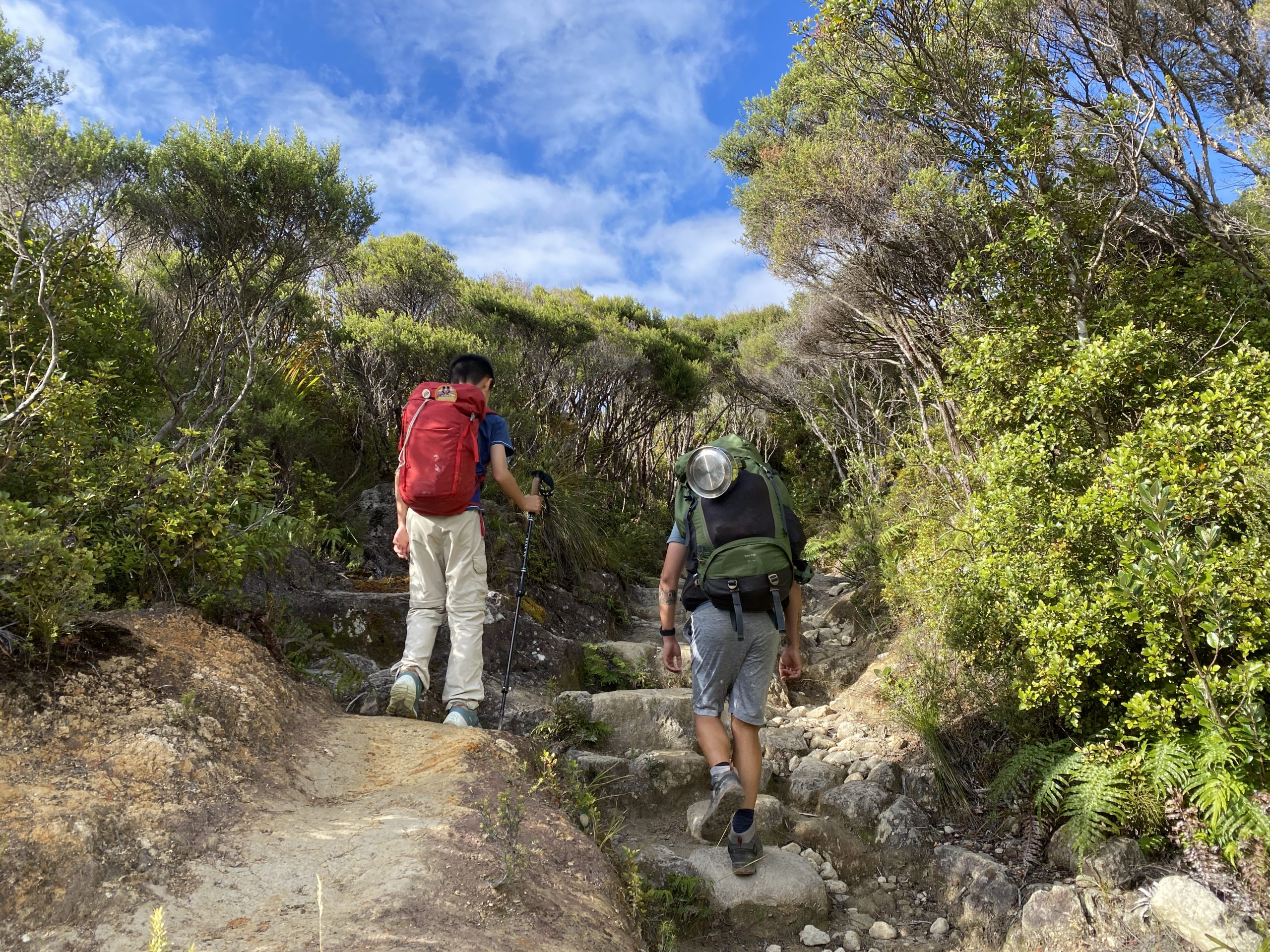 Pinnacles