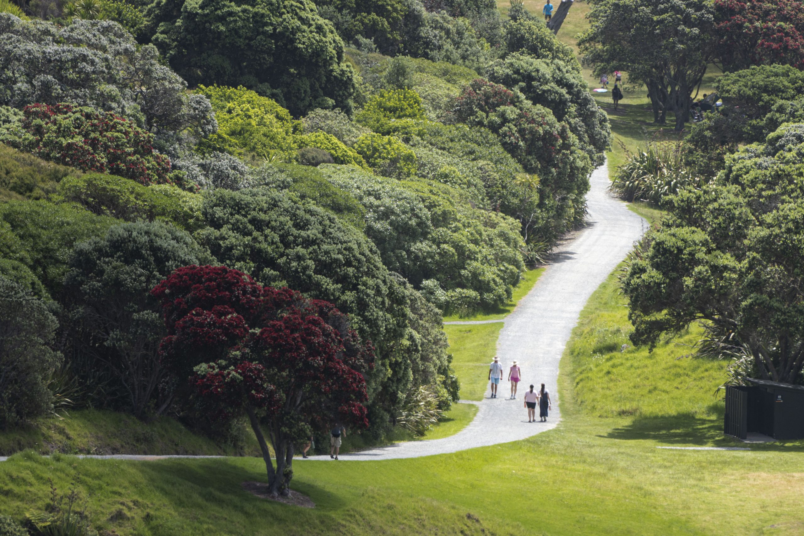 Tāwharanui · 蜂蜜农场 · Matak