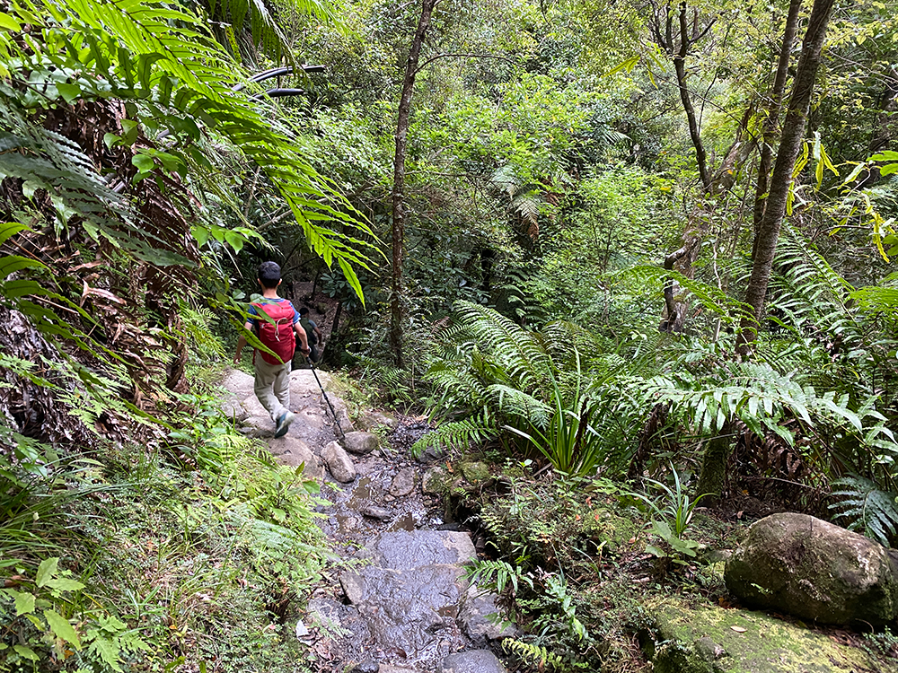 The Pinnacles